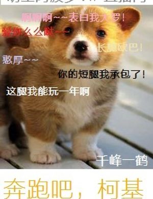 Chạy A, Corgi